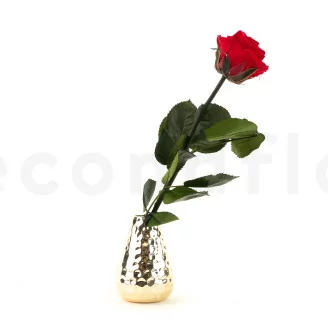 Preserved Rose on stem 30 cm Red - Individual Gift Box (x25)