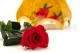 Rosa stabilizzata con stelo 30 cm Rosso - Scatola regalo individuale (x25) 11