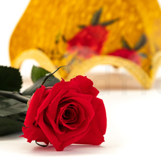 Rosas preservadas con tallo 30 cm - Gift Box 25 unidades - Rojo