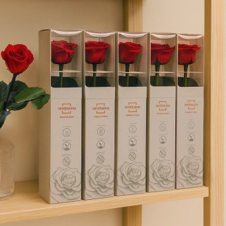 Roses on stem preserved 30cm - Gift Box 25 Units - Red