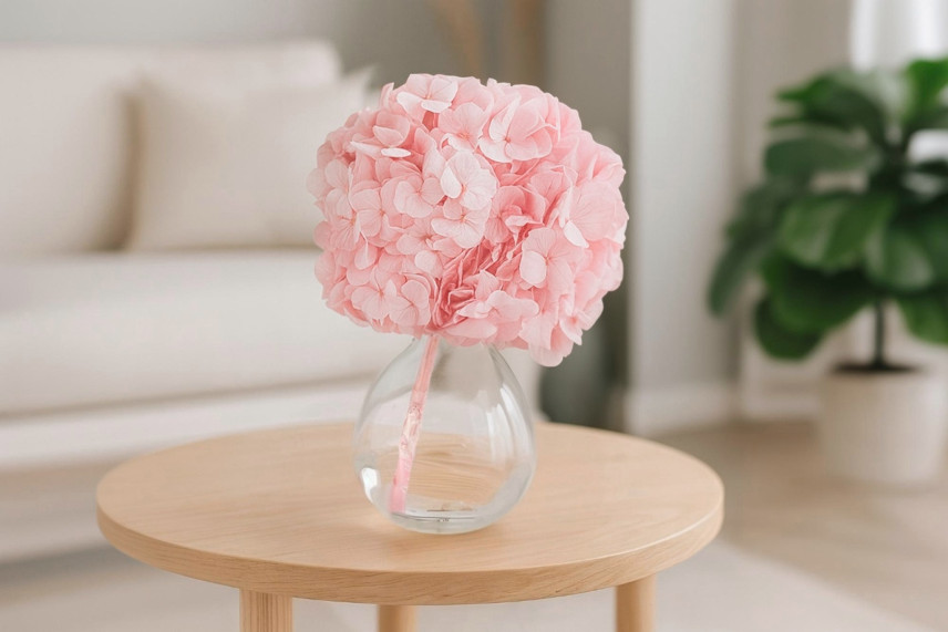 Hortensia preservada Kiara - Bridal Pink