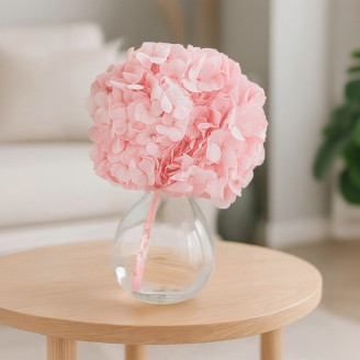 Ortensia preservata Kiara - Bridal Pink