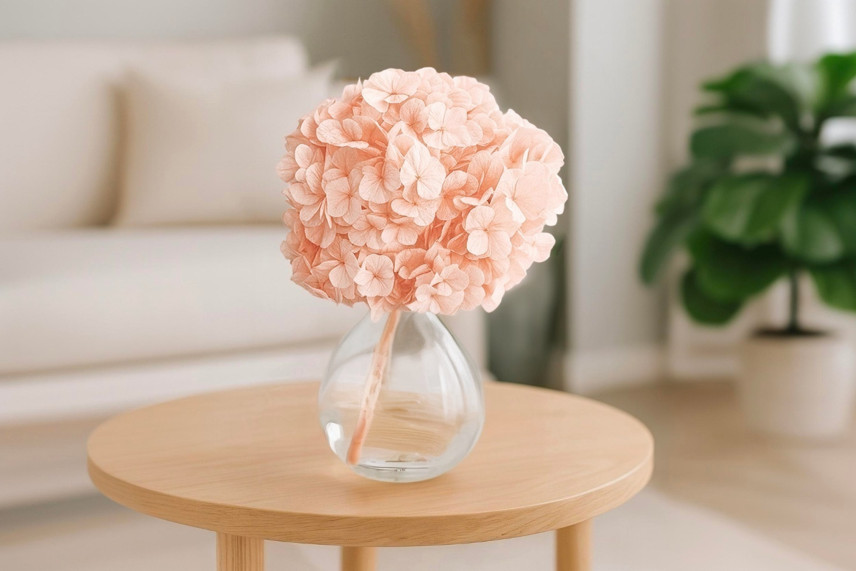 Hortensia preservada Kiara - Pink Blush