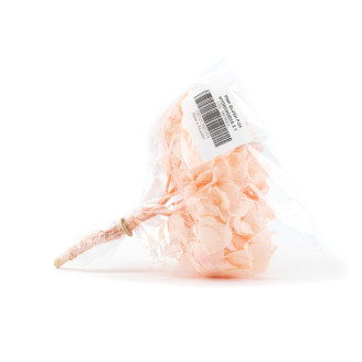 Hortensie Stabilisiert Kiara - Pink Blush