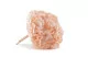 Preserved Hydrangea Pink Blush 3
