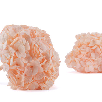 Ortensia preservata Kiara - Pink Blush