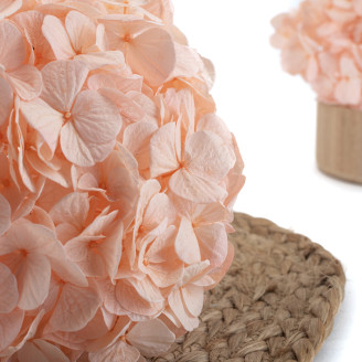 Ortensia preservata Kiara - Pink Blush