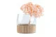 Preserved Hydrangea Pink Blush 8