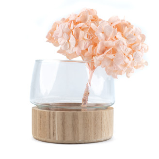 Hortensia preservada Kiara - Pink Blush