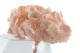 Preserved Hydrangea Pink Blush 9