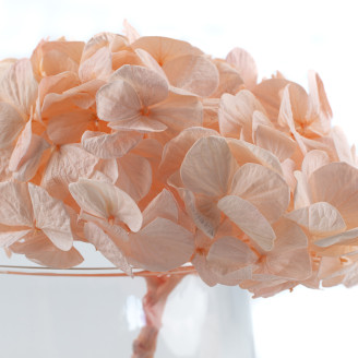 Ortensia preservata Kiara - Pink Blush