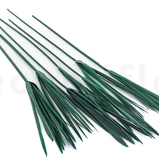 Papiro preservato - 7 steli - Verde