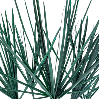 Papiro preservado - 7 tallos - Verde