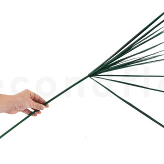 Papyrus Stabilized - 7 stems - Green