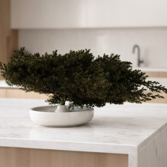 Juniper Stabilized - Green