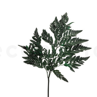 Leather Fern Preserved - Green