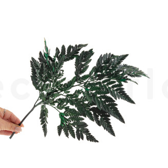 Foug&egrave;re Cuir Stabilis&eacute;e - Vert