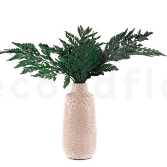 Felce Cuoio stabilizzata - Verde