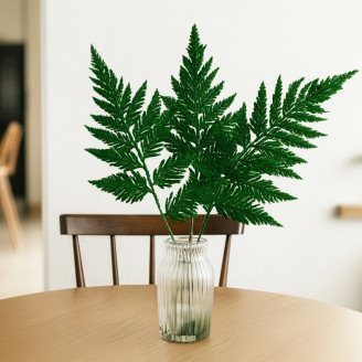 Helecho de Pluma Preservado - Verde