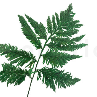 Helecho de Pluma Preservado - Verde
