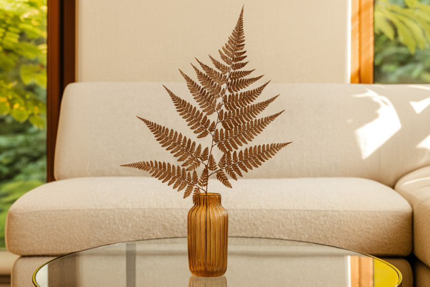 Leather Fern Preserved - Brown
