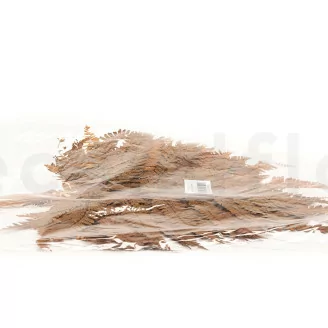 Preserved Leather Fern Brown