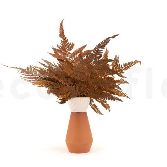 Preserved Leather Fern Brown