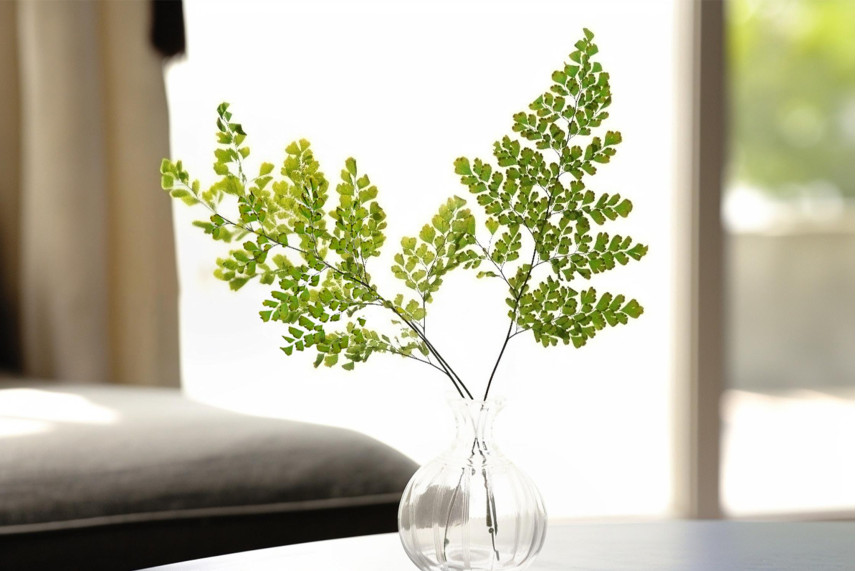 Lutti Fern Stabilized - Green