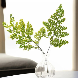 Lutti Fern Preserved - Green