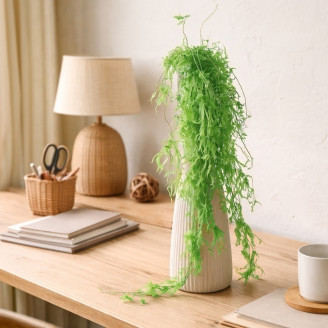 Aquatic Fern Stabilized - Green