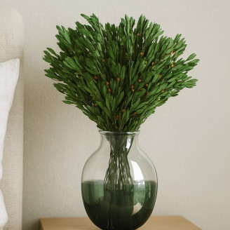 Platy m&acirc;le stabilis&eacute; - Bouquet - Vert