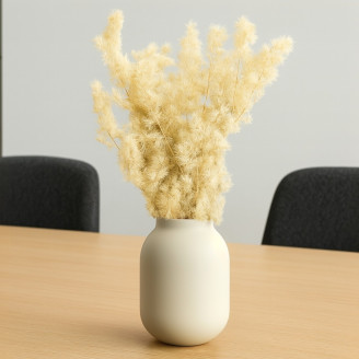 Ming Fern preservata - Bianco