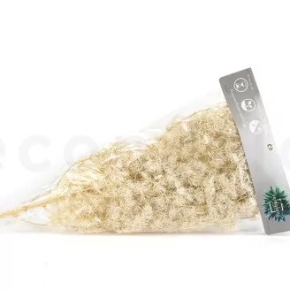 Ming Fern stabilis&eacute; Blanc Cr&egrave;me