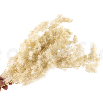 Ming Fern Preservado - Blanco