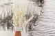 Ming Fern stabilizzata Bianco Crema 9