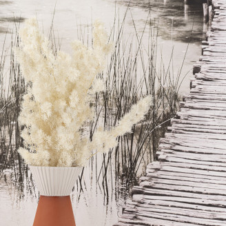 Ming Fern Stabilized - White