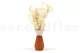 Ming Fern stabilis&eacute; Blanc Cr&egrave;me 6