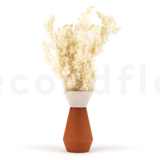 Ming Fern stabilizzata - Bianco