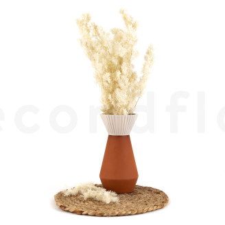 Ming Fern Preserved - White