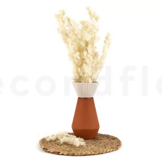 Ming Fern stabilis&eacute; Blanc Cr&egrave;me