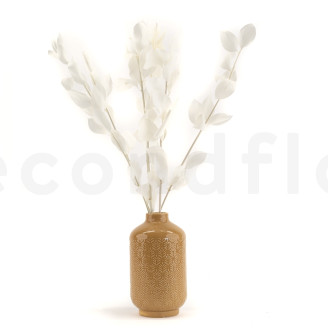 Ruscus Stabilized - 6 Units - White