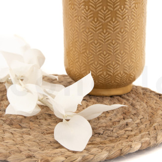 Ruscus Stabilized - 6 Units - White