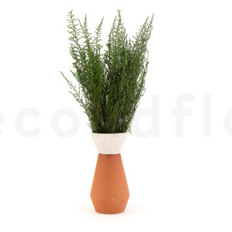 Stoebe stabilizzato - Mazzo - Verde