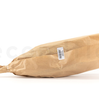 Stoebe stabilizzato - Mazzo - Verde