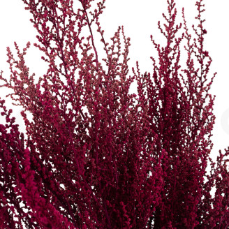 Konservierte Stoebe - Strau&szlig; - Rosa