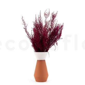 Stoebe Preservada - Ramo - Rosa