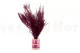 Stoebe stabilizzato Rosa 6