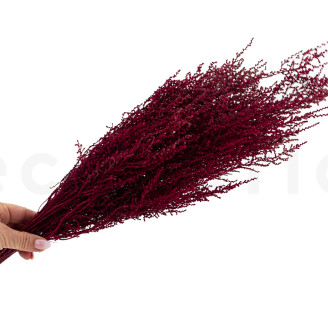 Stoebe Preservada - Ramo - Rosa