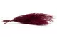 Stoebe preservada Rosa 13