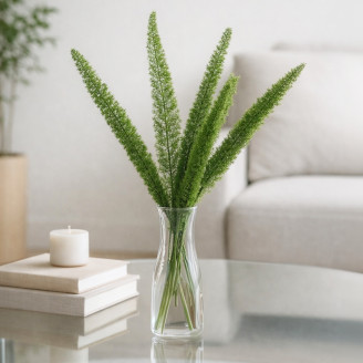 Foxtail preservado - Verde